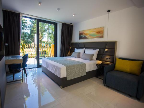 Royaluxs Hotel Plaza : photo 1 de la chambre chambre double avec douche