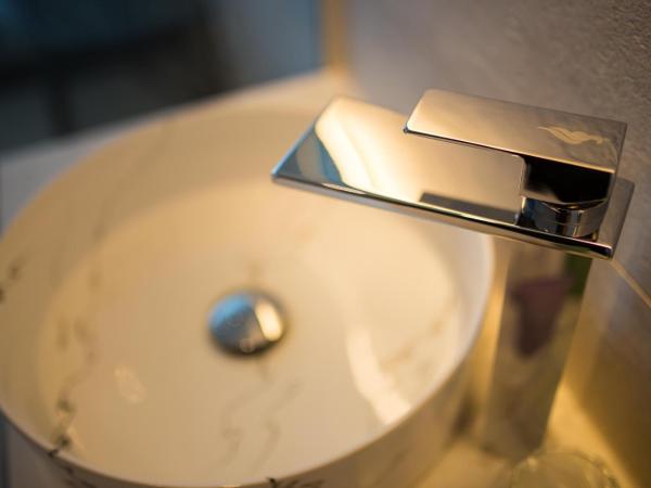 Royaluxs Hotel Plaza : photo 10 de la chambre chambre double avec douche