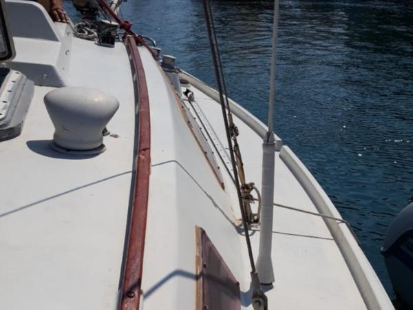 Le Nid sur l'Eau : photo 1 de la chambre mobile home