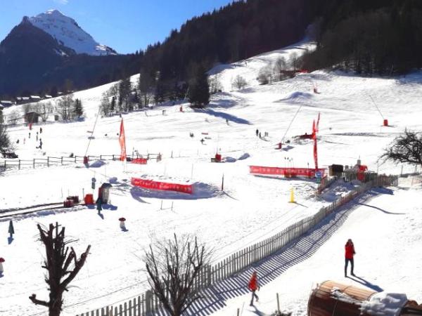 Résidence Frond'Neige : photo 4 de la chambre appartement 3 chambres avec vue sur la montagne