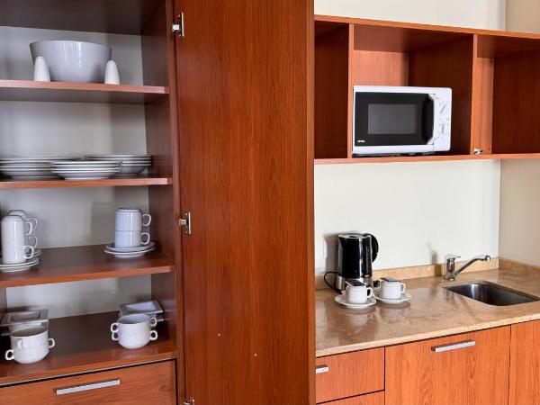 Design Suites Bariloche : photo 9 de la chambre suite supérieure 1 chambre