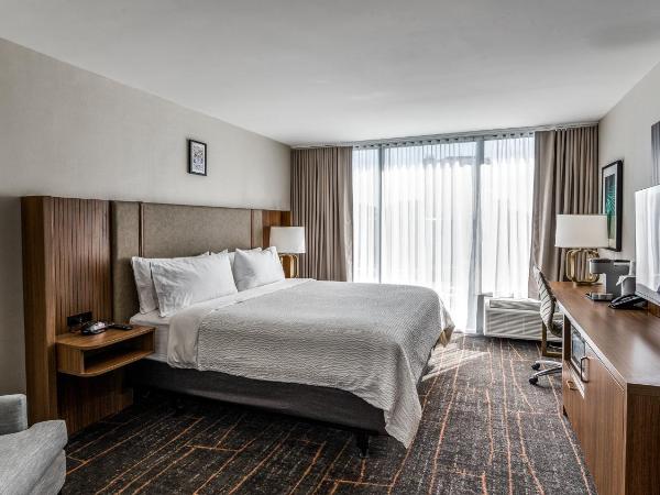 Holiday Inn Dallas Market Ctr Love Field, an IHG Hotel : photo 3 de la chambre chambre lit king-size standard