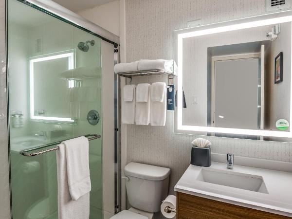 Holiday Inn Dallas Market Ctr Love Field, an IHG Hotel : photo 4 de la chambre chambre lit king-size standard