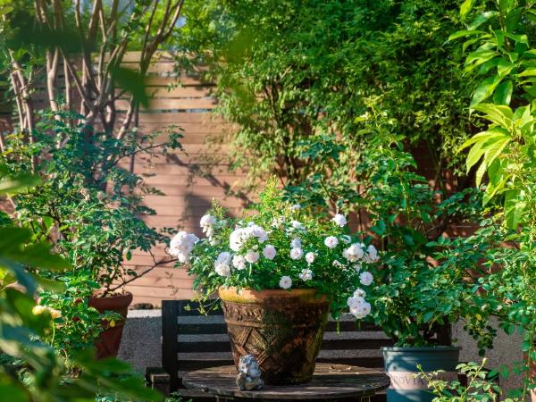 Wuyu Hotel - Chongqing Jiangbei Airport : photo 5 de la chambre chambre double standard