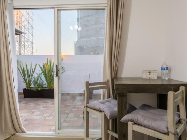 Suites 259 Condesa : photo 9 de la chambre suite avec terrasse 