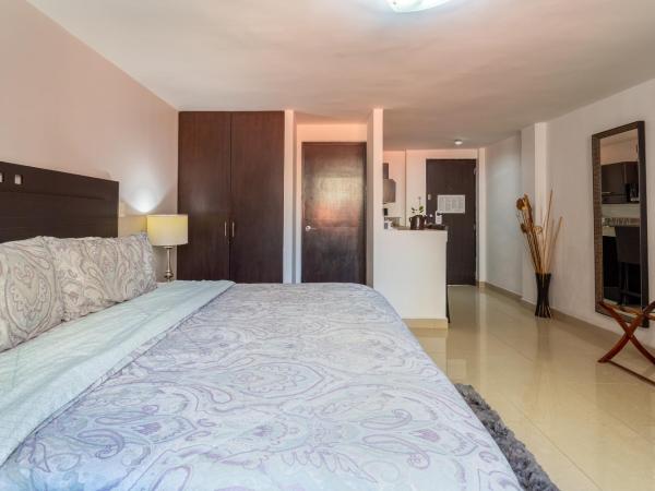 Suites 259 Condesa : photo 2 de la chambre studio supérieur