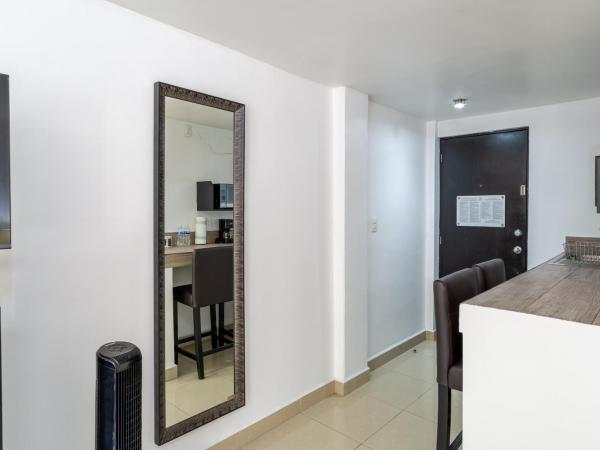 Suites 259 Condesa : photo 10 de la chambre studio supérieur