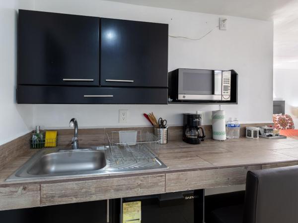 Suites 259 Condesa : photo 9 de la chambre studio supérieur