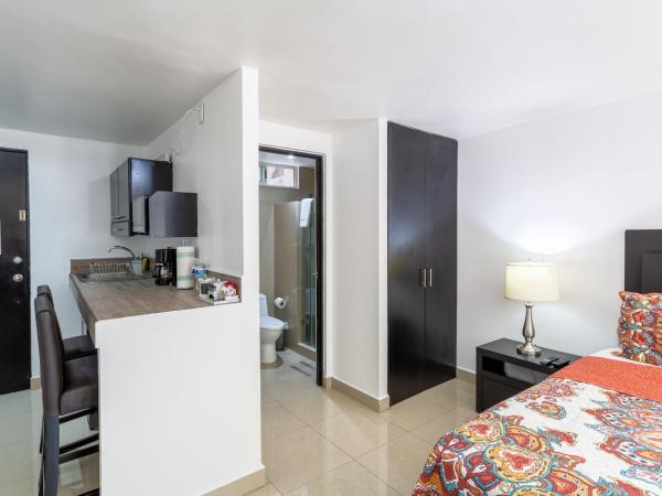 Suites 259 Condesa : photo 6 de la chambre studio supérieur