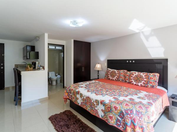 Suites 259 Condesa : photo 7 de la chambre studio supérieur