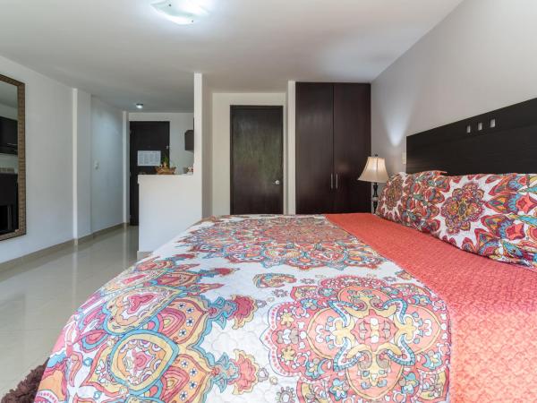 Suites 259 Condesa : photo 3 de la chambre studio supérieur