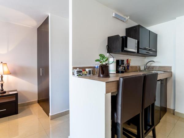 Suites 259 Condesa : photo 2 de la chambre studio supérieur