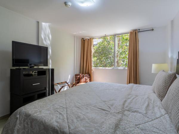 Suites 259 Condesa : photo 5 de la chambre suite 1 chambre