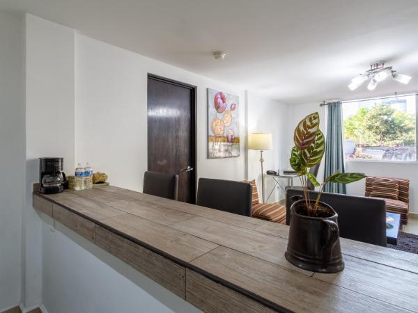 Suites 259 Condesa : photo 7 de la chambre suite 1 chambre