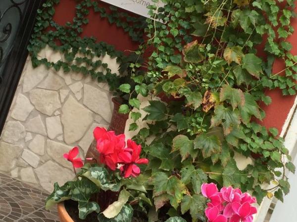 Giardino Eden B&B : photo 6 de la chambre chambre quadruple avec salle de bains