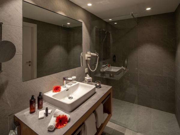 Hotel Lago Maggiore - Welcome! : photo 3 de la chambre chambre simple - vue sur montagne