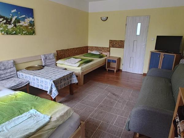 Turystyczny Dom Noclegowy Perełka : photo 1 de la chambre chambre double avec terrasse