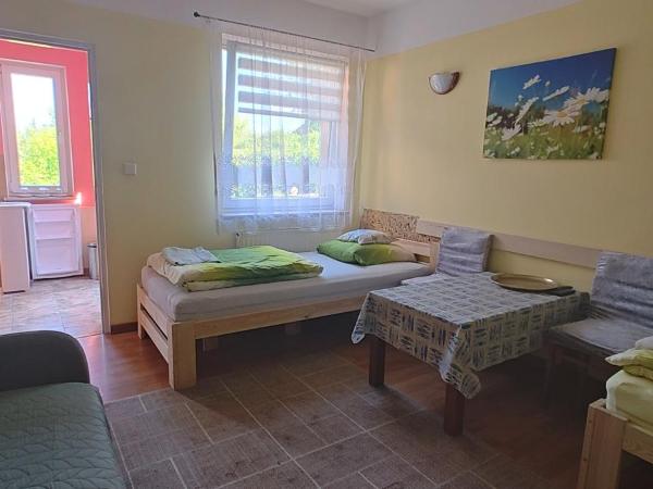 Turystyczny Dom Noclegowy Perełka : photo 3 de la chambre chambre double avec terrasse