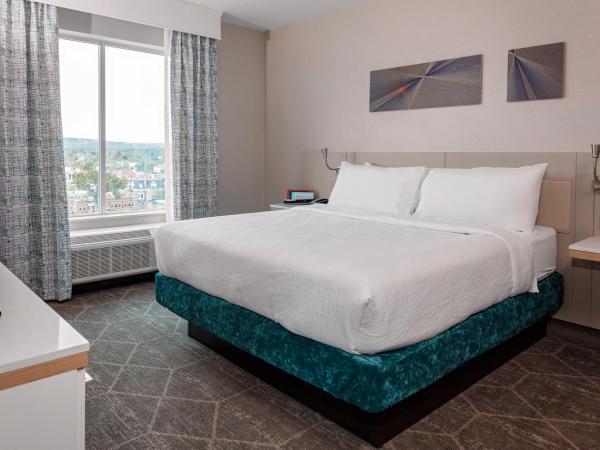 Hilton Garden Inn Colorado Springs Downtown, Co : photo 4 de la chambre chambre lit king-size
