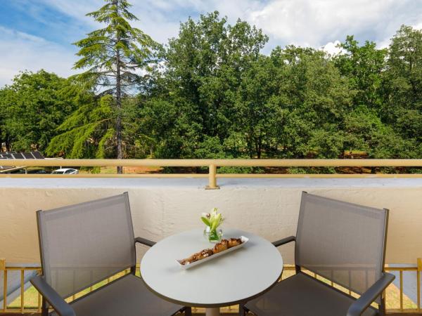 Hotel Aurora Plava Laguna : photo 3 de la chambre chambre familiale classique avec balcon - côté parc