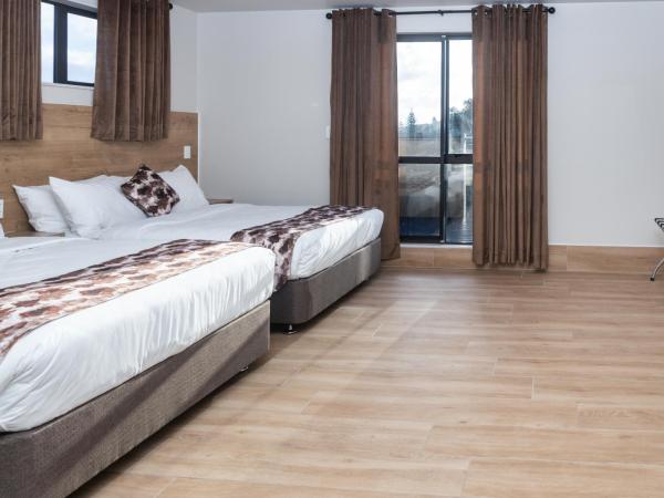 Albert Accommodation : photo 1 de la chambre chambre familiale avec terrasse 