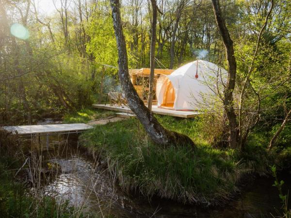 The Lazy T : photo 1 de la chambre bungalow 1 chambre