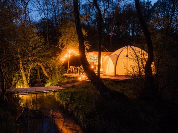 The Lazy T : photo 8 de la chambre bungalow 1 chambre