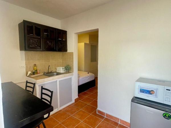 Suites del Mar by Ha : photo 8 de la chambre appartement 1 chambre avec terrasse