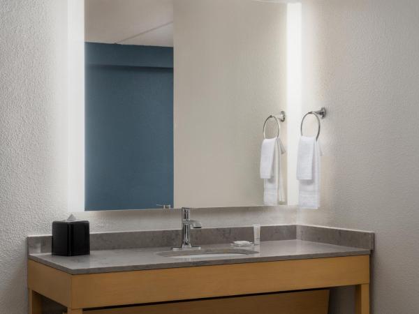 Hyatt Place Columbia/Harbison : photo 3 de la chambre chambre lit king-size pour personnes à mobilité réduite avec canapé-lit et baignoire adaptée