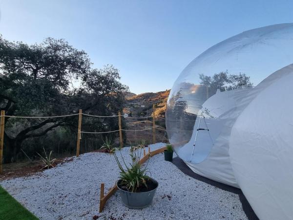 Glamping Bubbles Los Almendros : photo 3 de la chambre tente