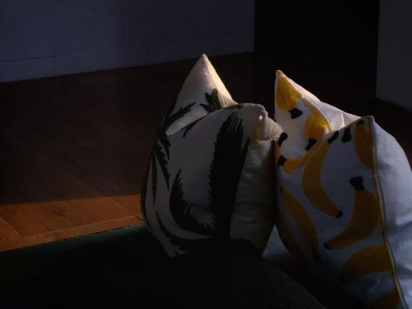 Wasteland TM : photo 7 de la chambre chambre double