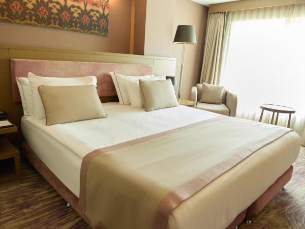 Avantgarde Hotel Levent : photo 2 de la chambre chambre double ou lits jumeaux deluxe - accès gratuit au spa