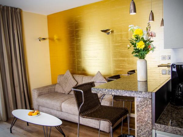 Appart Hôtel Clément Ader : photo 2 de la chambre appartement 2 chambres et salon avec canapé-lit 