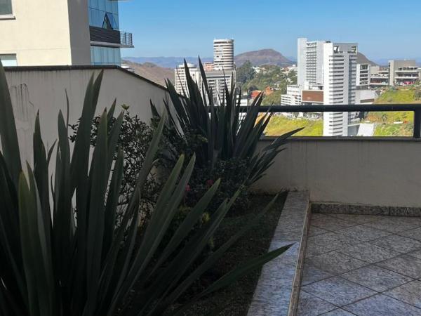 Differential Flat : photo 10 de la chambre chambre lits jumeaux supérieure