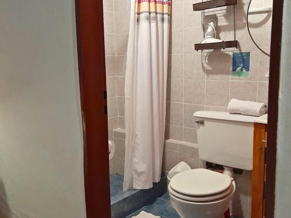 THE BLUE GLACIER : photo 10 de la chambre appartement