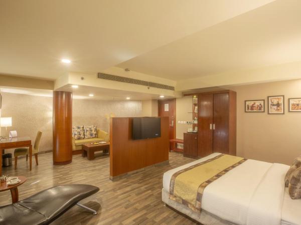 Vesta International : photo 2 de la chambre suite