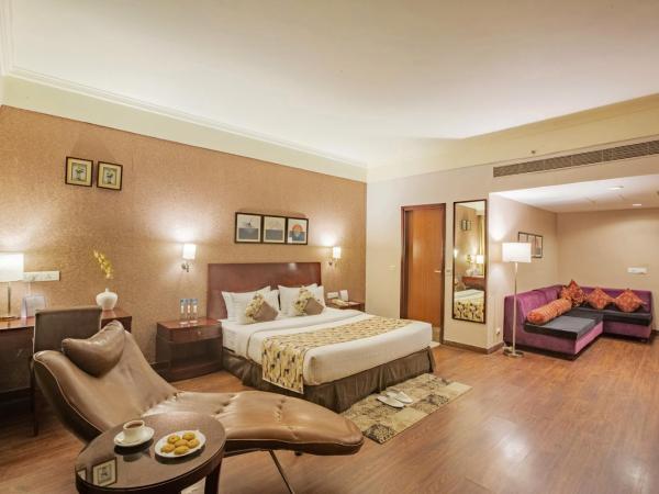Vesta Maurya Palace : photo 2 de la chambre suite