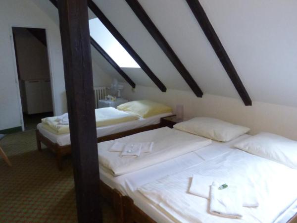 Hotel Svornost : photo 10 de la chambre chambre triple