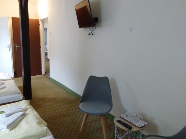 Hotel Svornost : photo 7 de la chambre chambre triple