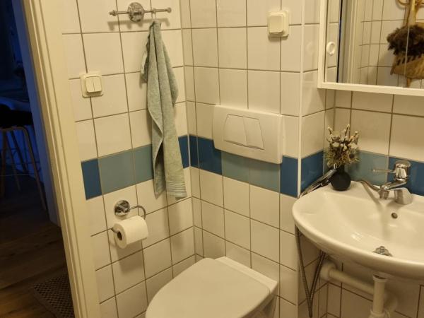 Doktor Forselius gata, The Pink Room : photo 7 de la chambre chambre simple avec salle de bains