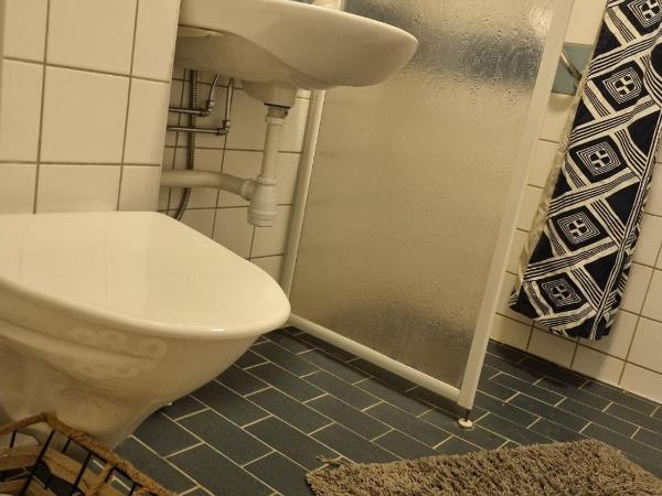 Doktor Forselius gata, The Pink Room : photo 1 de la chambre chambre simple avec salle de bains