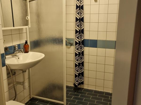 Doktor Forselius gata, The Pink Room : photo 6 de la chambre chambre simple avec salle de bains