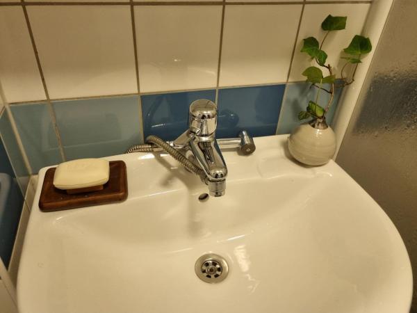 Doktor Forselius gata, The Pink Room : photo 4 de la chambre chambre simple avec salle de bains