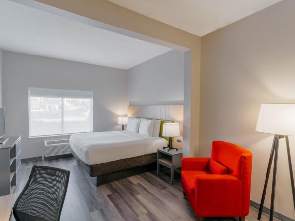 Country Inn & Suites by Radisson, Wolfchase-Memphis, TN : photo 1 de la chambre chambre lit king-size standard