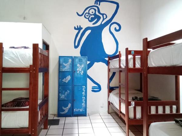 Hostal Luz de Luna Nuyoo : photo 4 de la chambre lit dans dortoir mixte de 8 lits