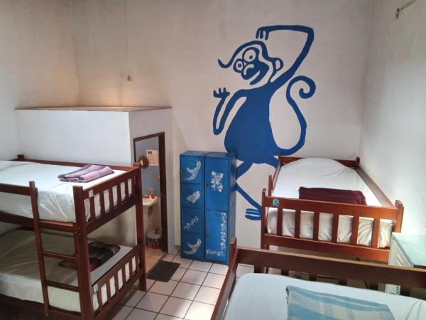 Hostal Luz de Luna Nuyoo : photo 1 de la chambre lit dans dortoir mixte de 8 lits