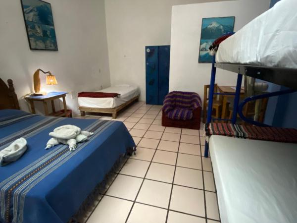 Hostal Luz de Luna Nuyoo : photo 1 de la chambre lit dans un dortoir de 4 lits