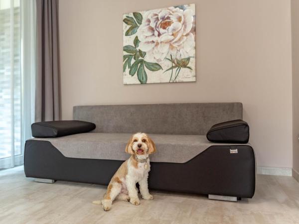 Maya Panzio-Rezidencia : photo 8 de la chambre appartement deluxe