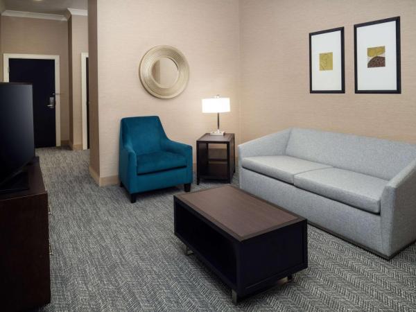 Embassy Suites Saint Louis - Downtown : photo 2 de la chambre suite 1 chambre lit king-size - non-fumeurs