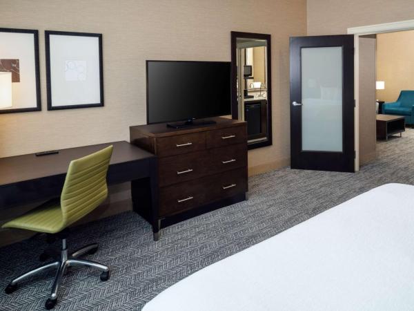 Embassy Suites Saint Louis - Downtown : photo 3 de la chambre suite 1 chambre lit king-size - non-fumeurs